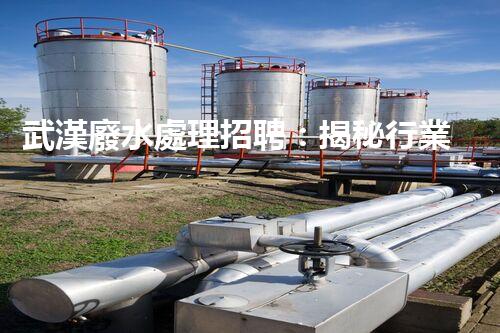 武漢廢水處理招聘：揭秘行業(yè)內(nèi)幕，你不明白的就業(yè)機(jī)會(huì)？